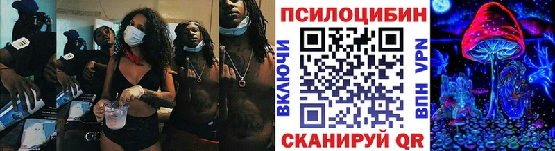 купить наркоту  мега рабочий сайт  Псилоцибиновые грибы мицелий  Городище 